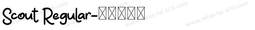 Scout Regular字体转换